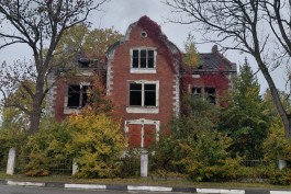 В Калининградскую область завезли из Белоруссии 40 тысяч штук саженцев голубики